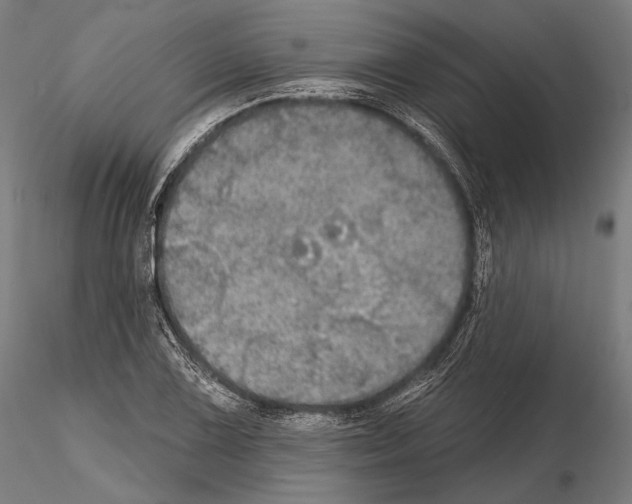 X0000114611075200912010931