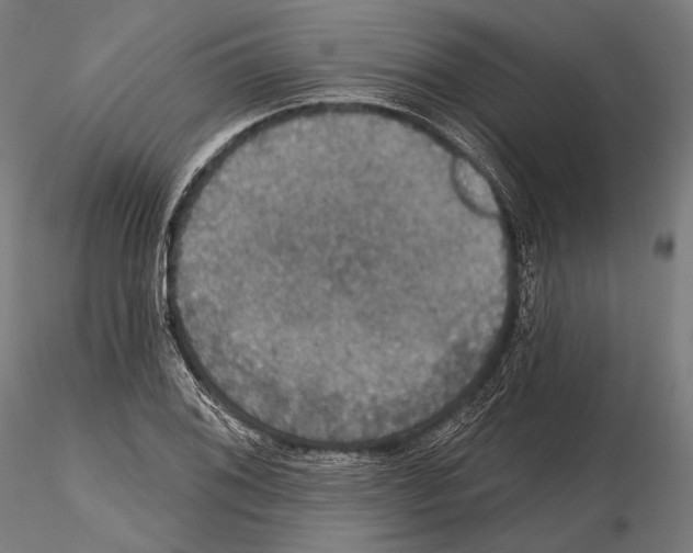 X0000114611076200912010931