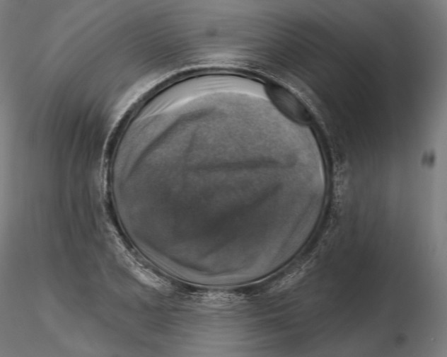 X0000114611077200912010931