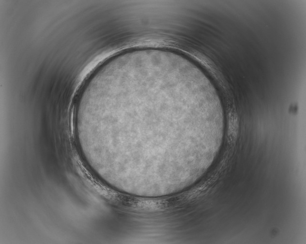 X0000114611078200912010931