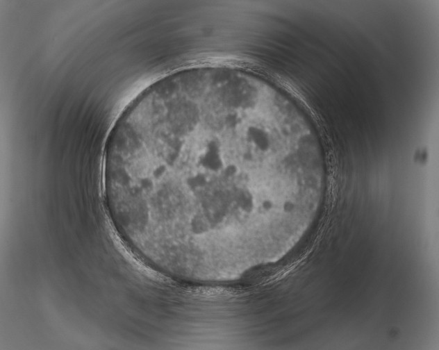 X0000114611079200912010931