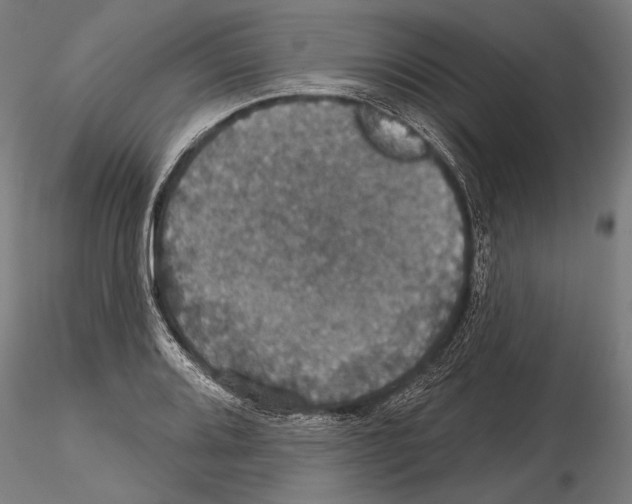 X0000114611080200912010931