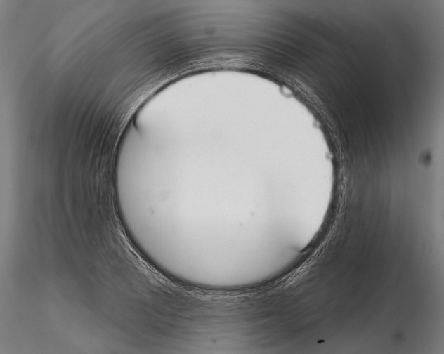 X0000114611081200912010931