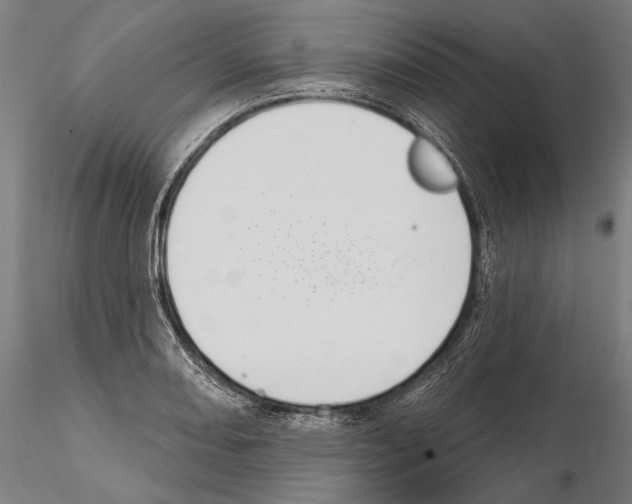 X0000114611082200912010931