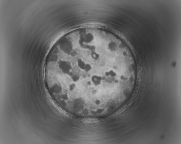 X0000114611083200912010931