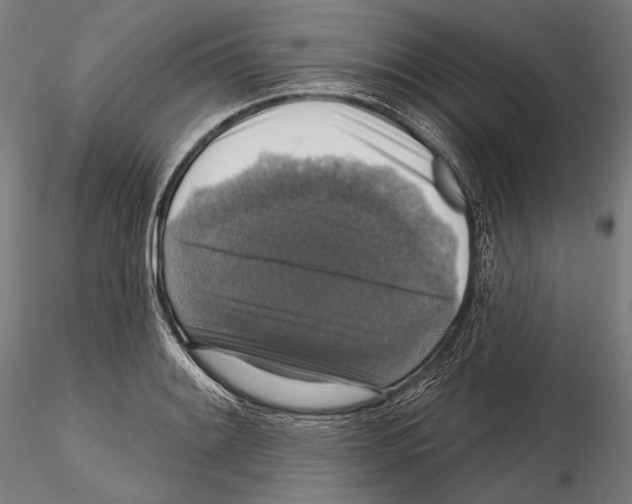 X0000114611084200912010931