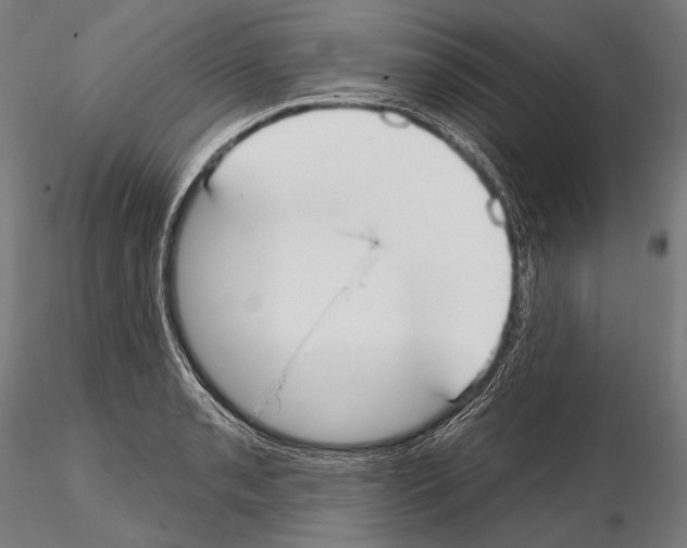 X0000114611085200912010931