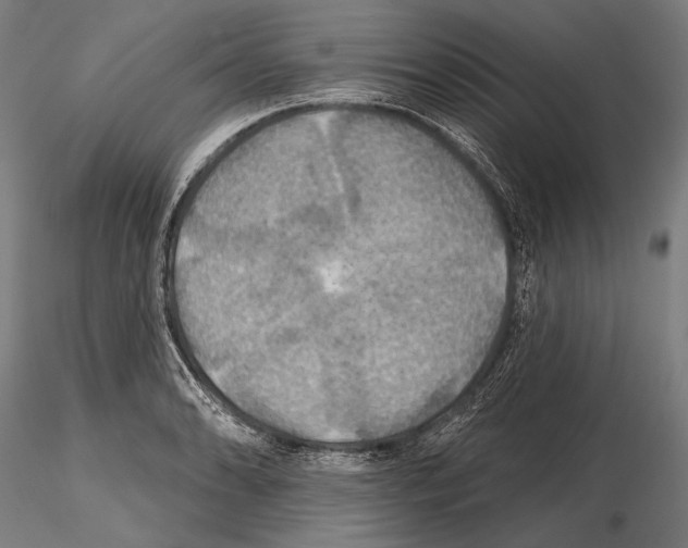 X0000114611086200912010931