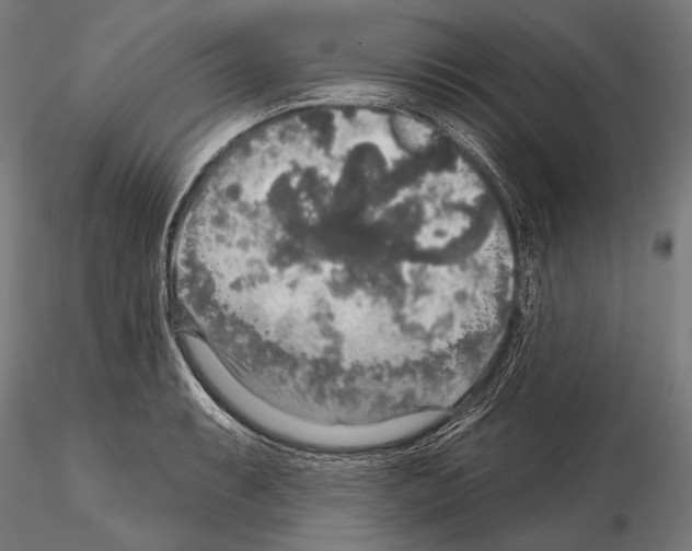 X0000114611087200912010931