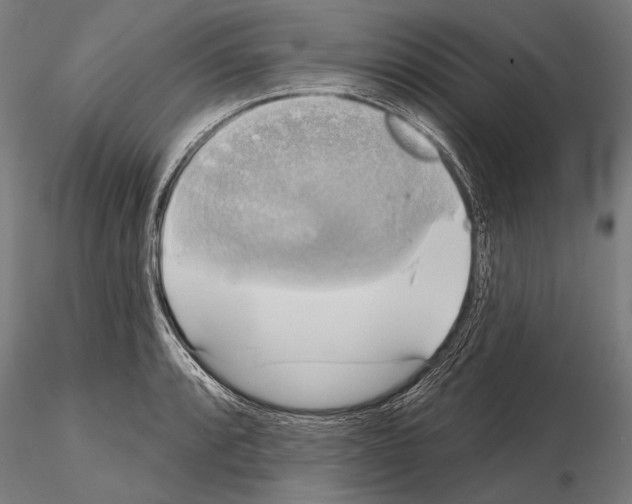 X0000114611088200912010931