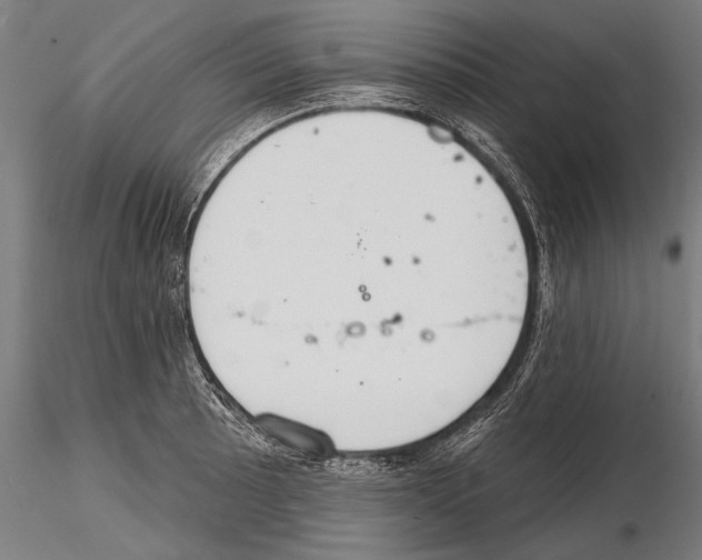 X0000114611089200912010931