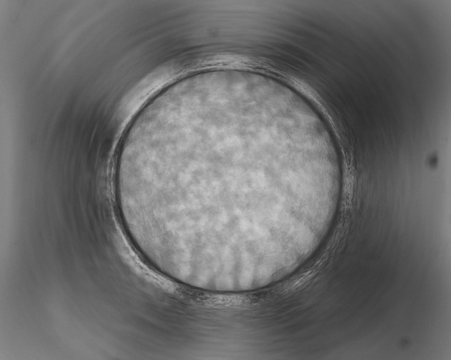 X0000114611090200912010931