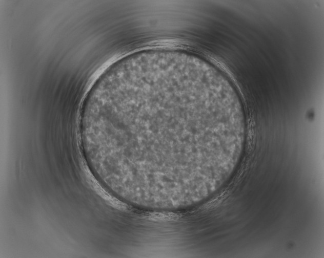 X0000114611091200912010931