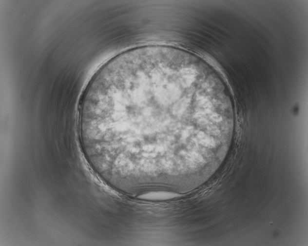 X0000114611096200912010931