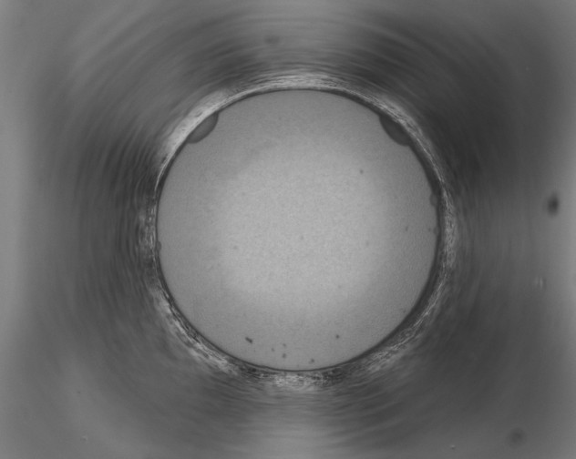 X0000114611097200912010931