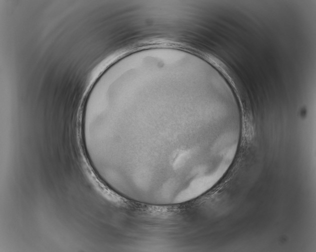 X0000114611098200912010931