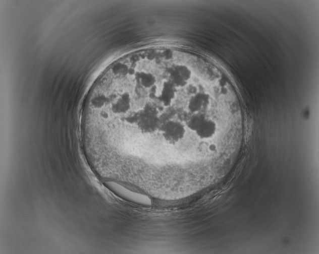 X0000114611099200912010931