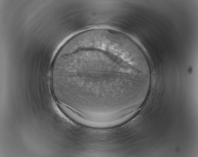 X0000114611100200912010931