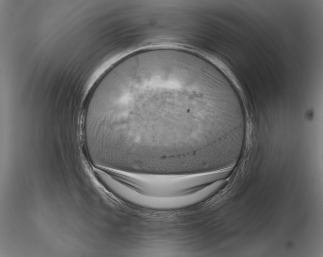 X0000114611101200912010931