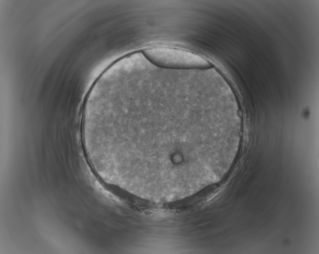 X0000114611102200912010931