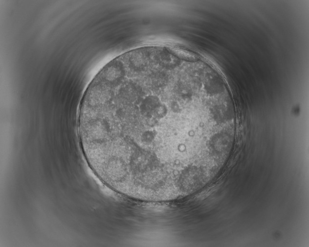 X0000114611103200912010931