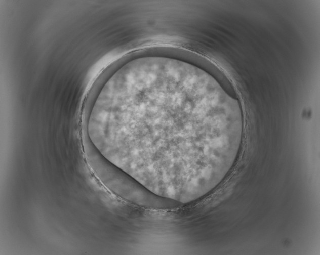 X0000114611104200912010931