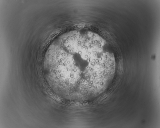 X0000114611105200912010930