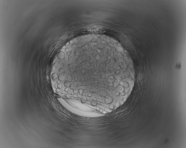 X0000114611106200912010930