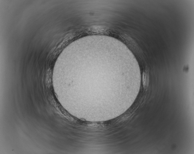 X0000114611107200912010930