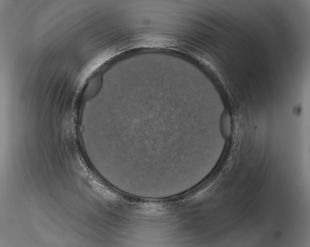 X0000114611114200912010930