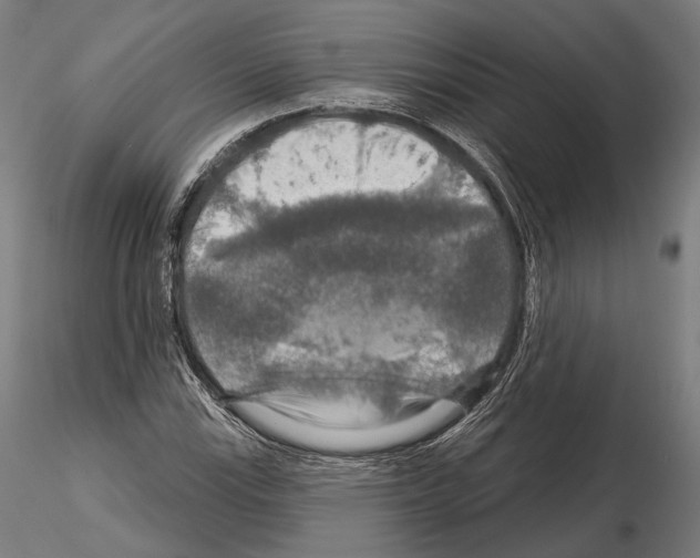 X0000114611115200912010930