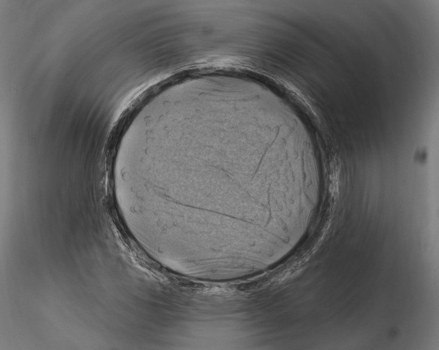 X0000114611117200912010930