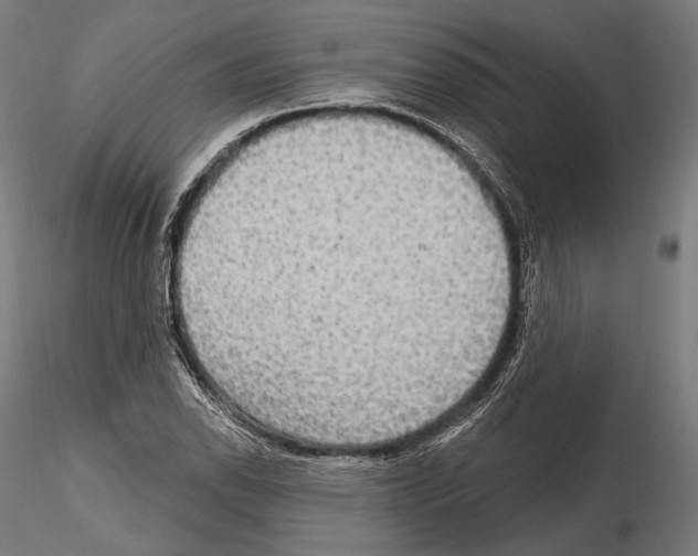 X0000114611118200912010930