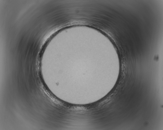 X0000114611119200912010930