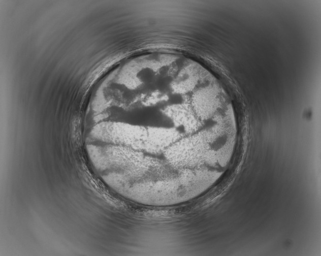 X0000114611121200912010931