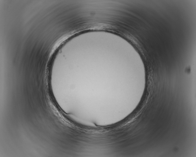 X0000114611122200912010931