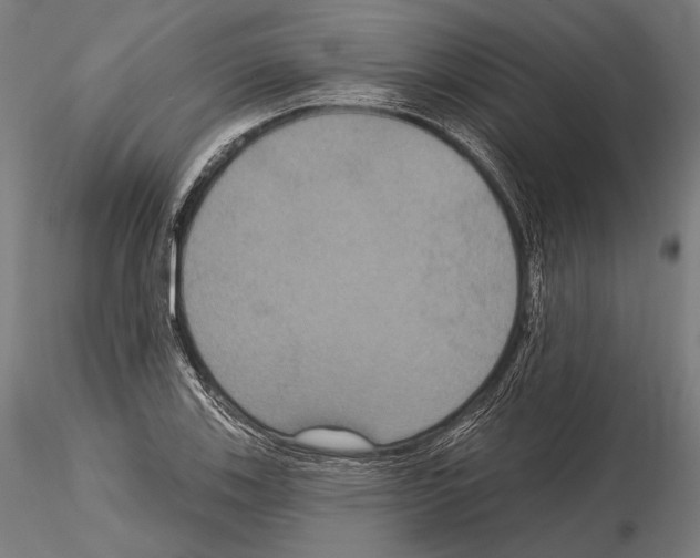 X0000114611123200912010931