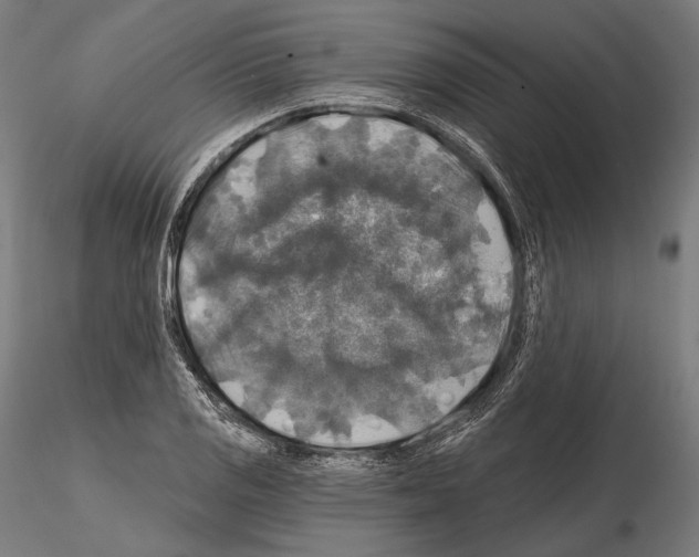 X0000114611125200912010931