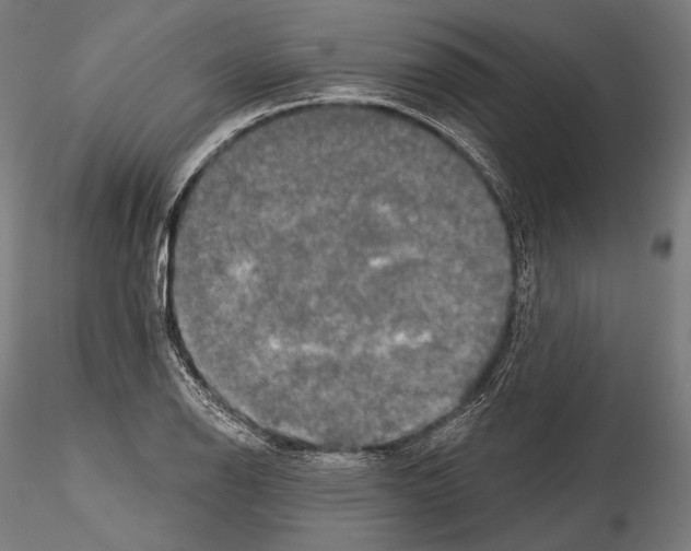 X0000114611126200912010931