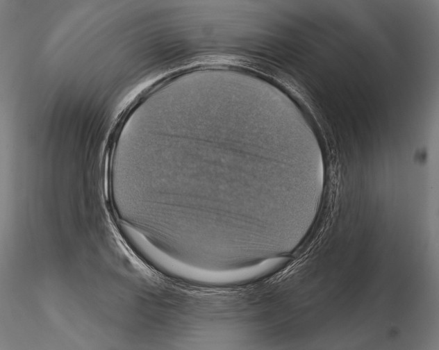 X0000114611127200912010931