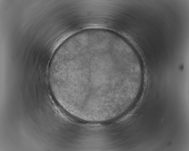 X0000114611129200912010931