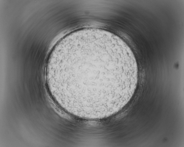 X0000114611130200912010931