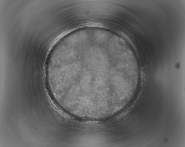 X0000114611133200912010931