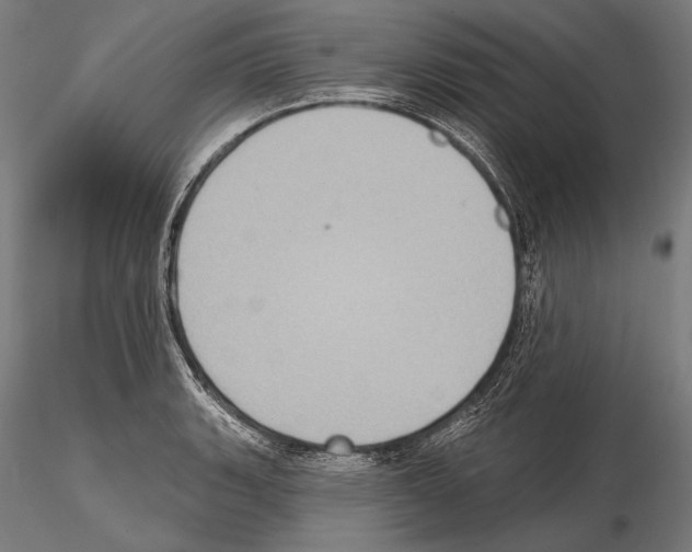 X0000114611135200912010931