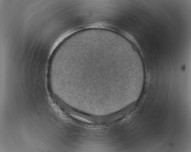 X0000114611138200912010931