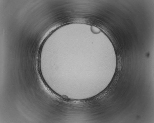 X0000114611139200912010931