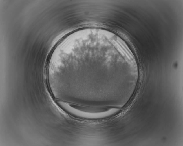 X0000114611141200912010931