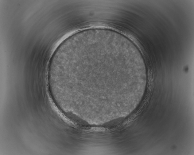 X0000114611142200912010931