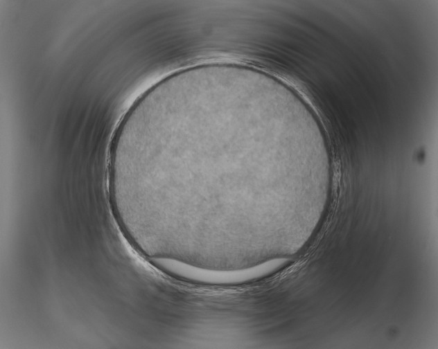 X0000114611143200912010931