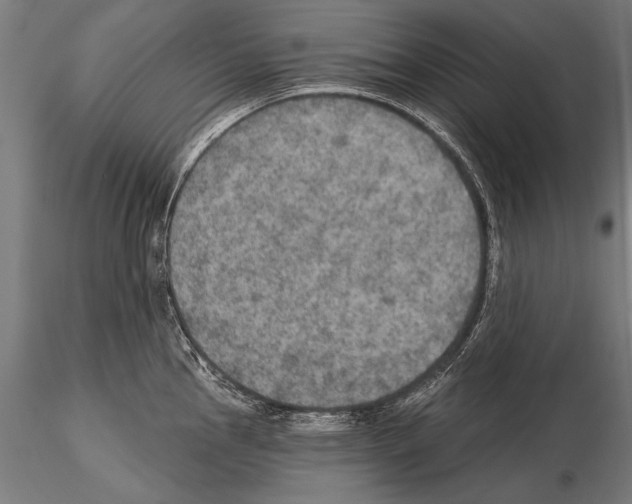 X0000114611145200912010931